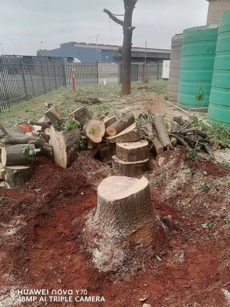 Stump + log piles, water tanks, industrial